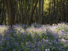 -东南大学(九龙湖校区)
