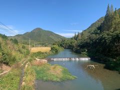 -中国庆元廊桥博物馆