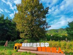 -塔川景区