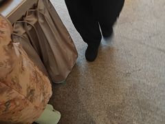 -顺德渔村·岭南一号