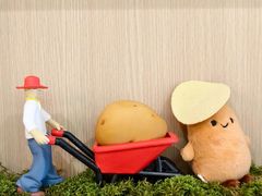 -Calix&Lay's(新天地店)