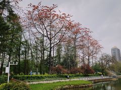 -东山湖公园