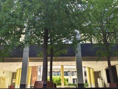 -北京师范大学附属中学