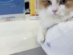 -谐和贝康宠物医院24小时·宠保定点(急重症转诊中心)