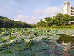 -华南师范大学(广州大学城校区)