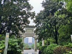 -云碧峰国家森林公园