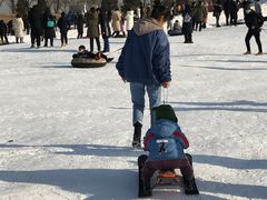 -绿野森林乐园冰雪季