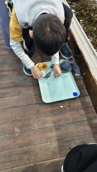 -钓虾工场·钓虾·赶海(回龙观店)