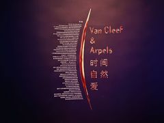 -上海当代艺术博物馆