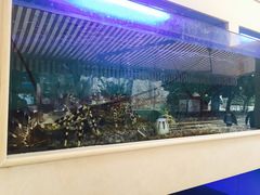 -明香海鲜酒家(华强北店)