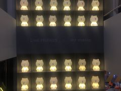 -line friends(明洞旗舰店)