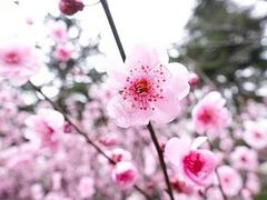 -诺亚雅思托福北郊中心(凤城路店)