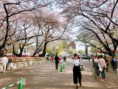 -名古屋城