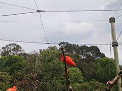 -新加坡飞禽公园