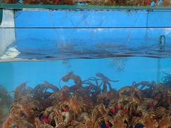 水产区-丹东立强海鲜烧烤·牛B大串(星海店)