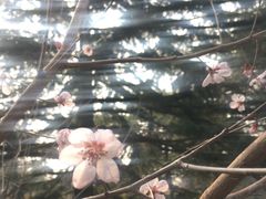 -皇家美孚(海云庵店)