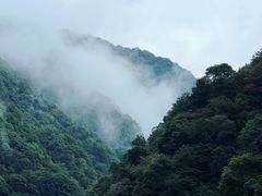 -终南山国家森林公园