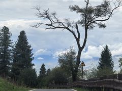 -新疆那拉提国家旅游度假区