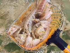 -岛中岛·海鲜大排档·万宁老字号(东澳店)