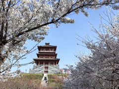 -古柏渡飞黄旅游区