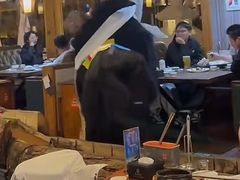 -思金拉措庄园藏餐(太阳岛店)