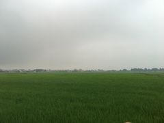 -崖口煲仔饭
