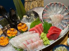 -深蓝金枪·深海鱼刺身(吉大店)