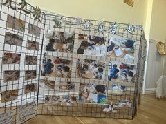 -糖心家族国际幼儿园·托育园(南开水上公园店)