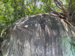 -草庵摩尼教遗址公园