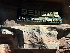 -辽宁古生物博物馆