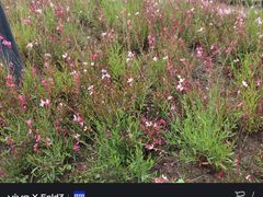 -宝岩生态观光园