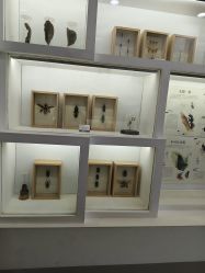 -酷嗒动物文化乐园(cutezoo西溪乐天城店)