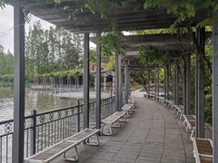 -黄兴公园