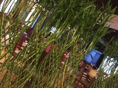 -海德温泉酒店