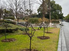 -维吾尔餐厅(宜山路店)