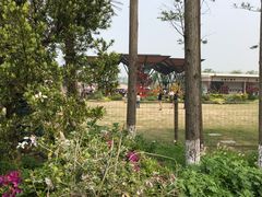 -上海长兴岛郊野公园