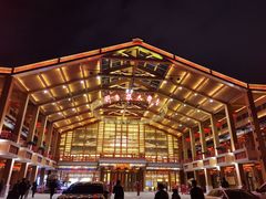 -刘老根大舞台-长春旗舰店