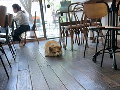 -肥朵食堂(带梦胡同店)