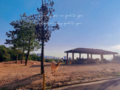 -杭州野生动物世界