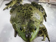 -活鱼馆(宜兴埠店)