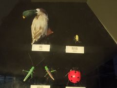 -广东科学中心