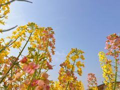 -中国天府农业博览园