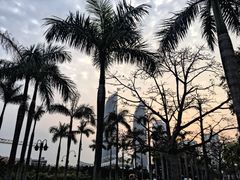 -厦门大学(思明校区)