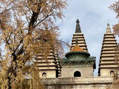 -北京石刻艺术博物馆(五塔寺)