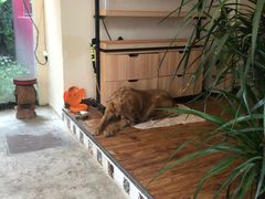 -兰纳泰式spa(古城店)