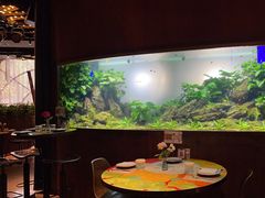 -华阳时光吧餐厅(华阳广场国际大饭店)
