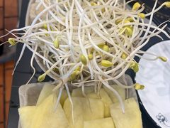 -重庆鸡公煲(学衡路店)