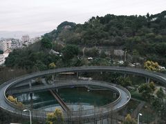 -福道