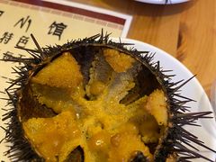 -海胆小馆(东北水饺·春柳店)