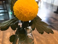 -gaga(深圳南山益田假日广场店)